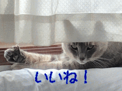     ˁI