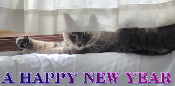       A HAPPY NEW YEAR